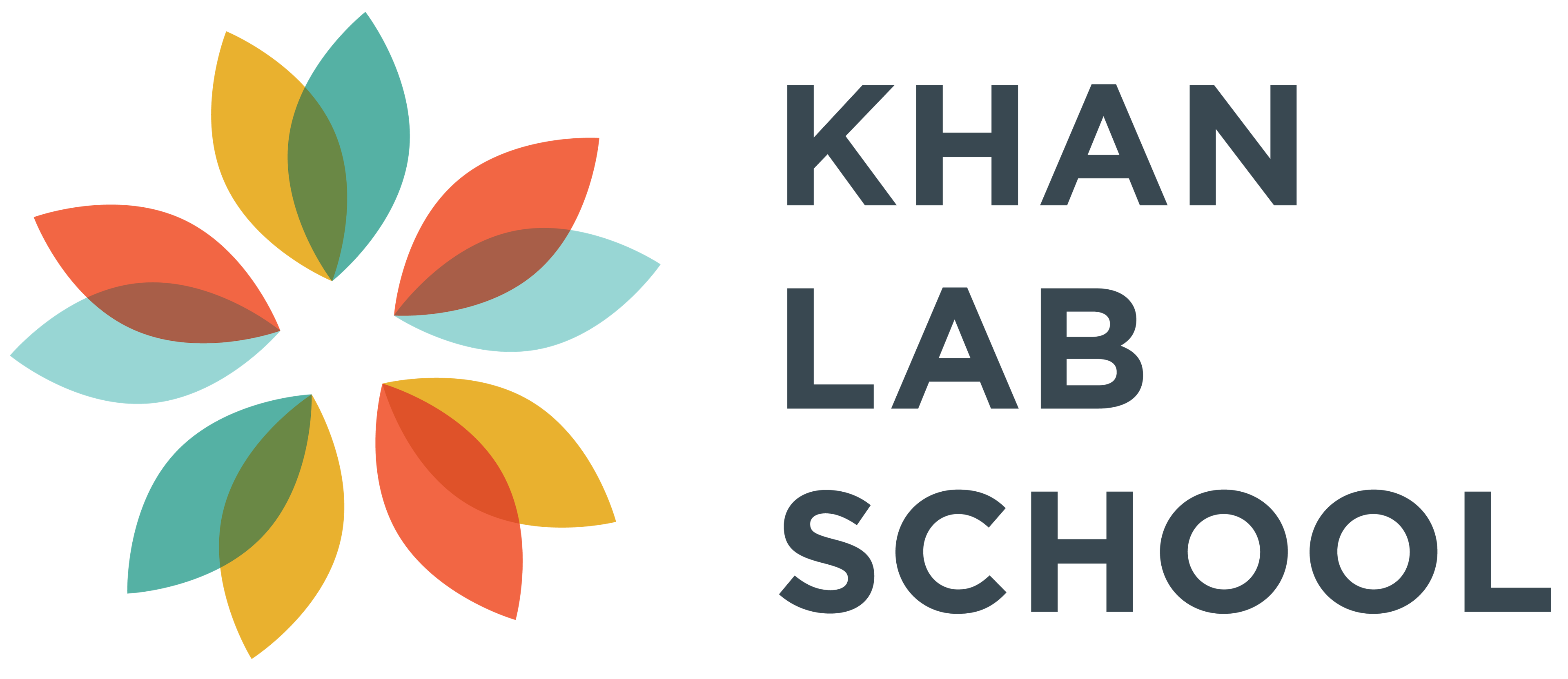 KLS Logo